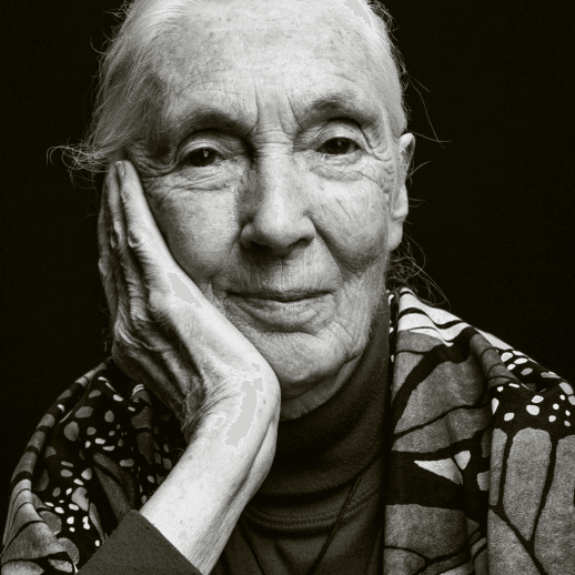 Dra. Jane Goodall, Dama-Comendadora do Reino Unido, cerimônia de encerramento da Olimpíada ClimateScience na COP26, em Glasgow.